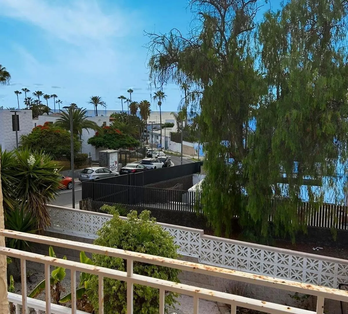 Villa Monkey Costa Adeje   Costa Adeje (Tenerife)